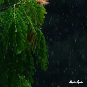 波兰R级《欲燃》观看
