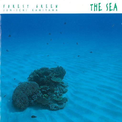 波兰R级《欲燃》观看
